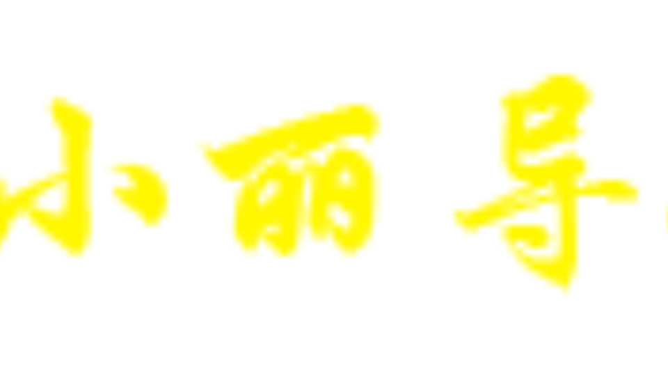 小丽导航